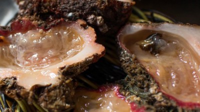 놓치면 후회! 멍게 초특가 구매 후기 & 꿀팁 대방출 🦪✨