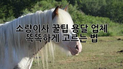 소량이사 꿀팁🍯 용달 업체 똑똑하게 고르는 법!