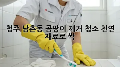 청주 남촌동 곰팡이 제거 청소, 천연 재료로 싹! ✨